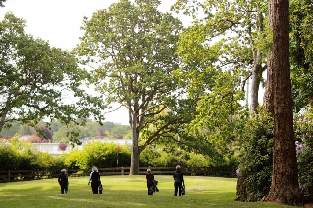 Four women walking together on a lush green golf course, enjoying a sunny day while carrying their clubs.